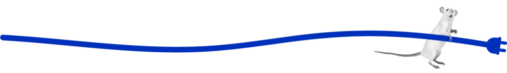 Witte muis die een blauwe kabel vasthoudt, decoratief illustratie-element voor de leeskamer van Klim in Taal