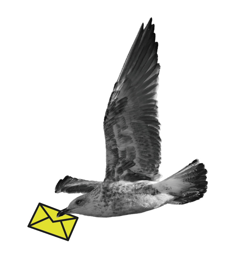 vliegende vogel met brief in z'n bek