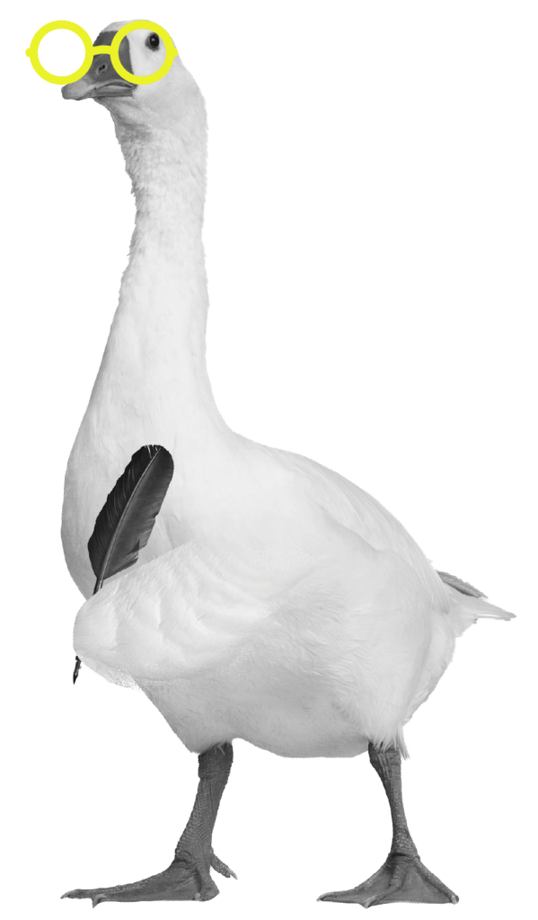 gans met gele bril die een veer vast heeft om mee te schrijven