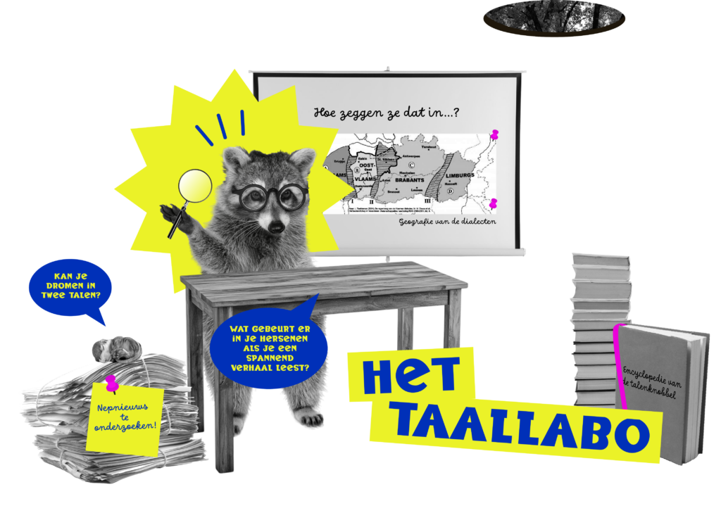 Illustratie van het Taallabo: een wasbeer met bril onderzoekt dialectenkaart, met boeken, vragen over taal en de tekst 'Het T