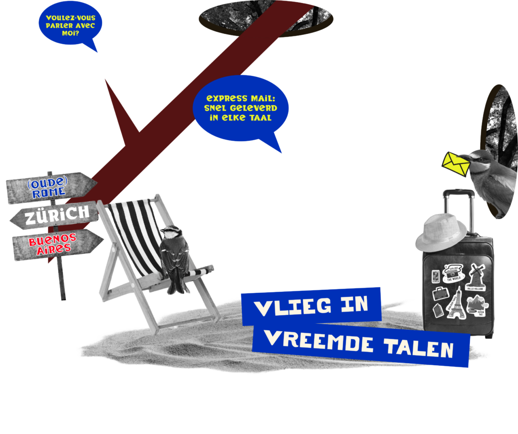 Illustratie vreemde talen: ligstoel, koffer, wegwijzers naar Rome, Zürich en Buenos Aires, met tekst 'Vlieg in vreemde talen'