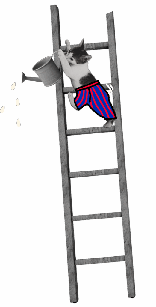 kat op ladder met gieter